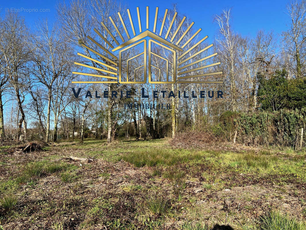 Terrain à SALLEBOEUF