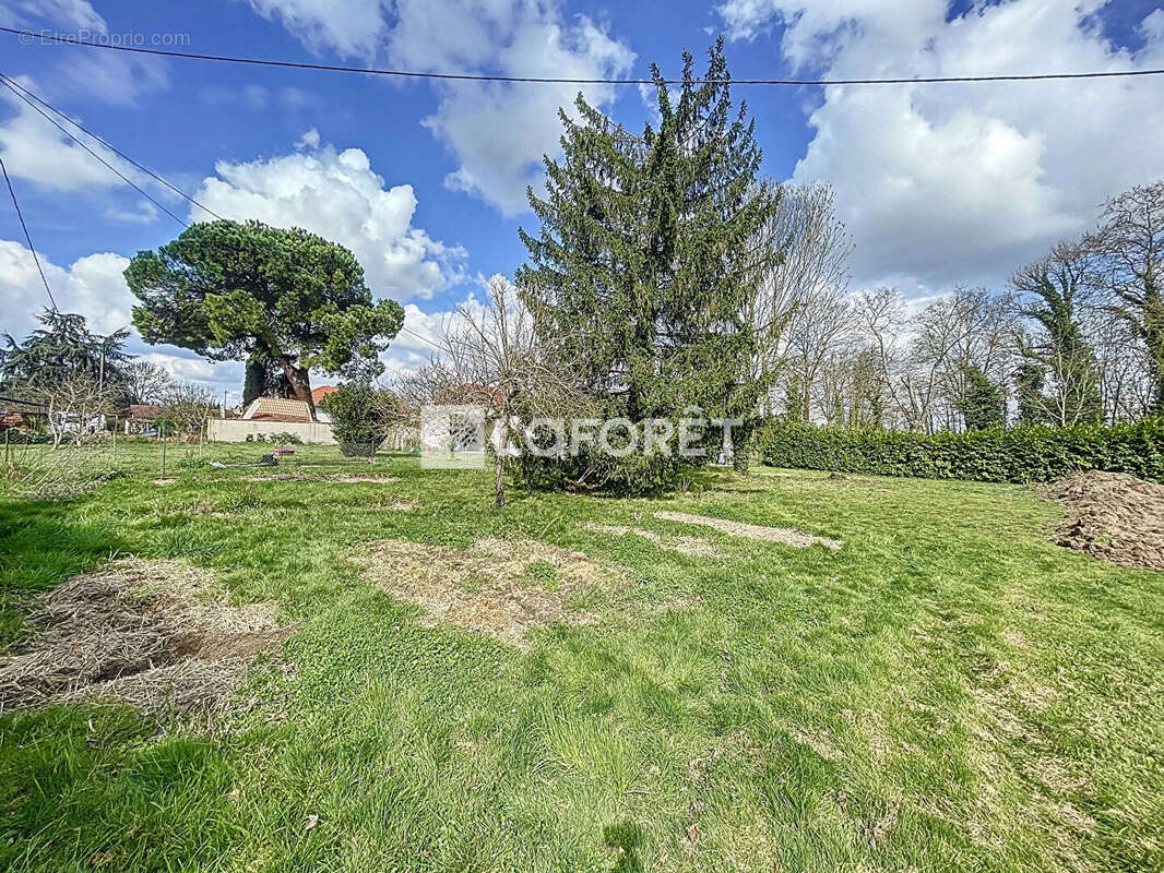 Terrain à CASTELSARRASIN