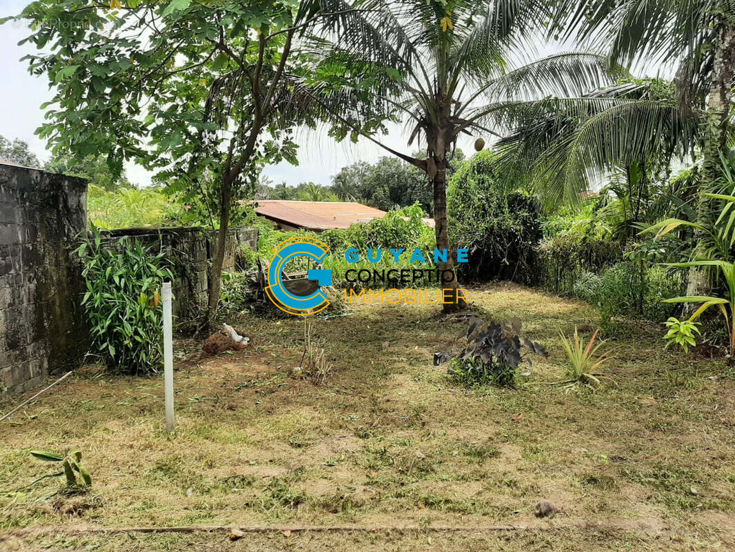 Maison à SAINT-LAURENT-DU-MARONI