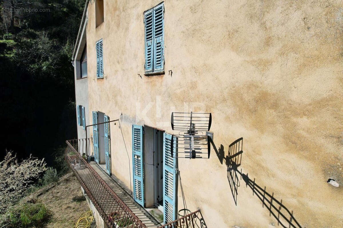 Maison à VENACO