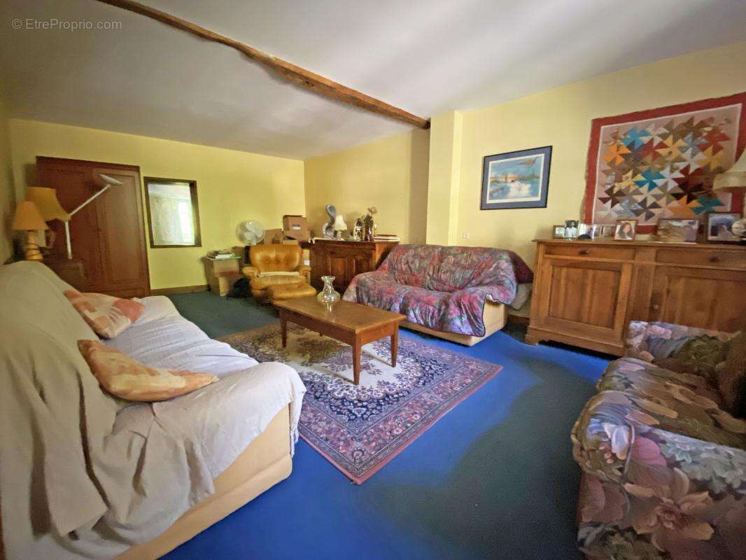 Maison à LE BUISSON-DE-CADOUIN