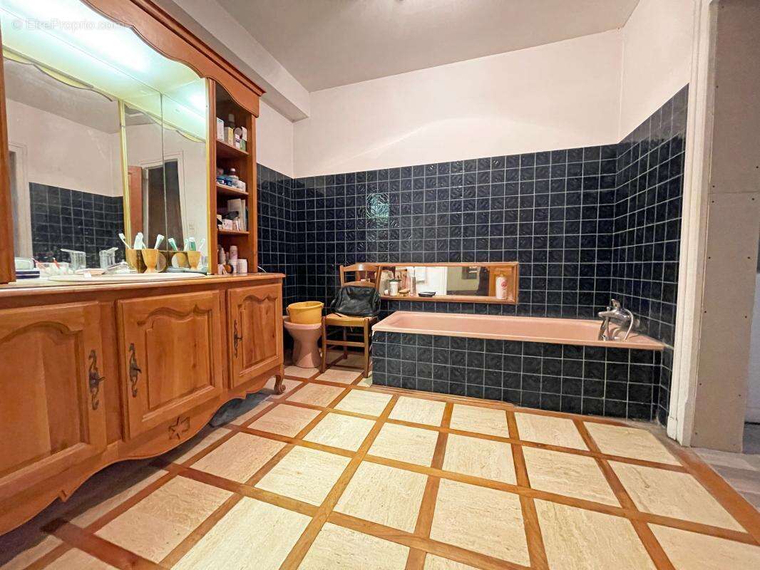 Maison à LE BUISSON-DE-CADOUIN