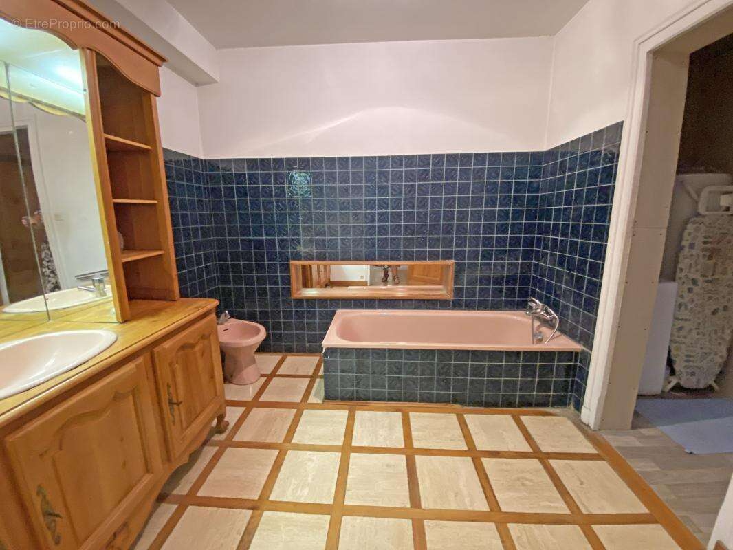 Maison à LE BUISSON-DE-CADOUIN