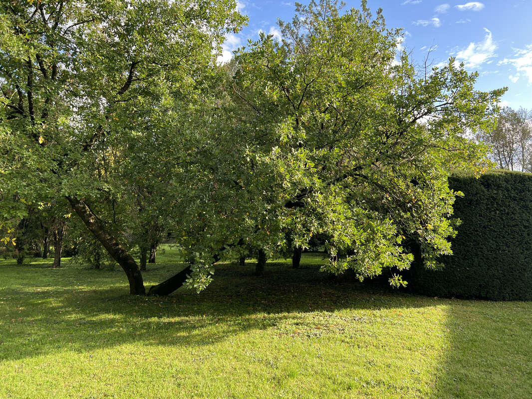 Maison à CHASSENEUIL-DU-POITOU