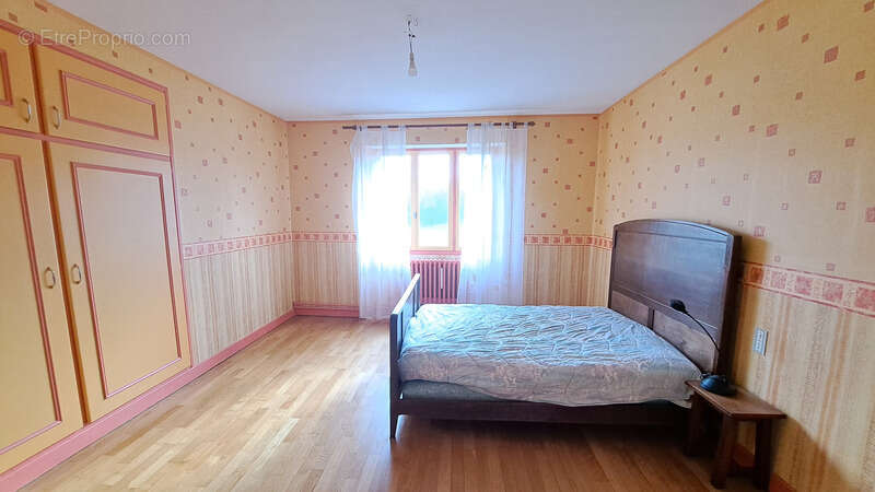 Maison à NOIDANS-LE-FERROUX