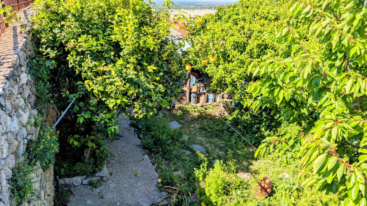 Maison à LAROQUE-DES-ALBERES