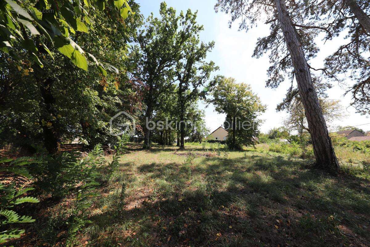Maison à NOGENT-SUR-VERNISSON