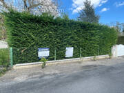 Terrain à CONDE-SAINTE-LIBIAIRE