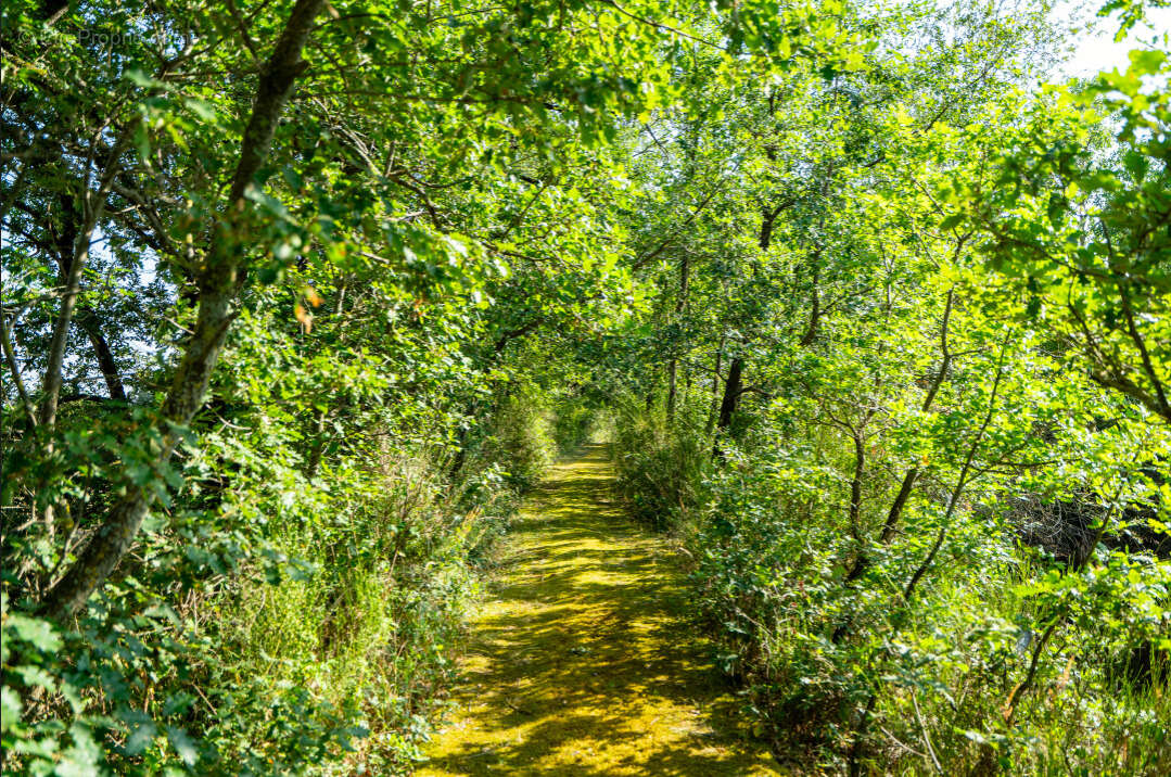 Maison à SAINT-SULPICE-SUR-LEZE