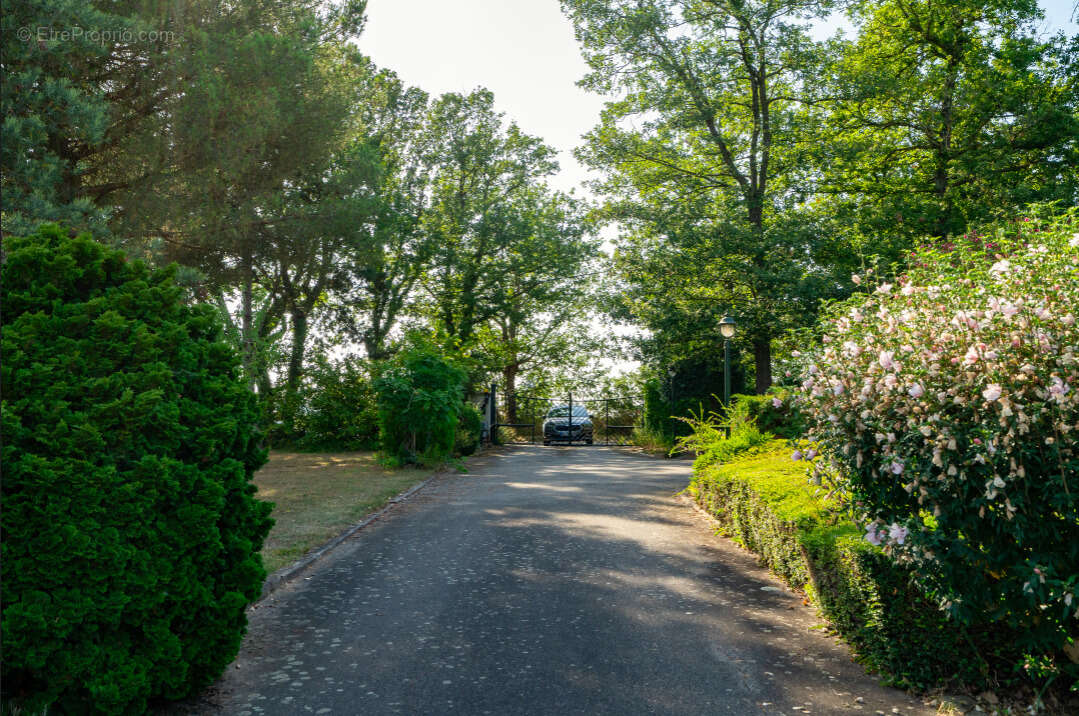 Maison à SAINT-SULPICE-SUR-LEZE