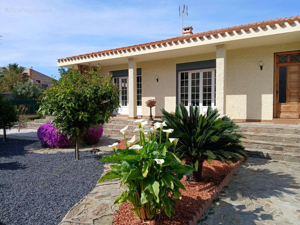 Maison à SAINT-LAURENT-DE-LA-SALANQUE