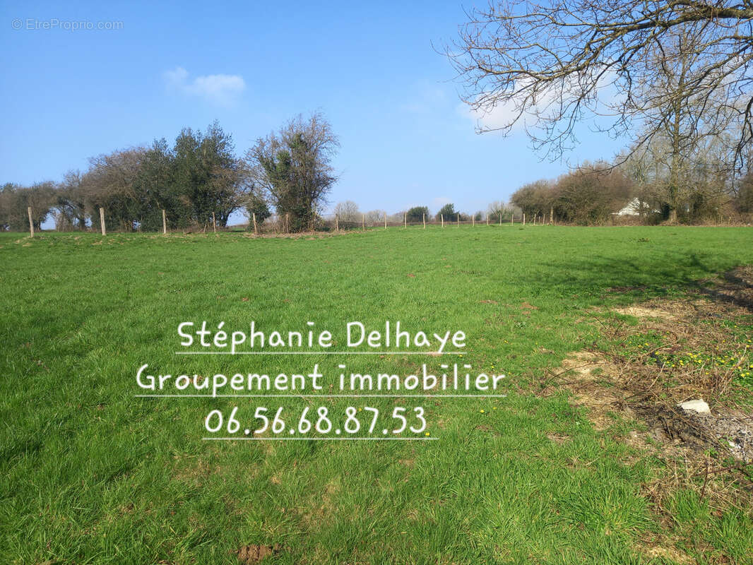 Terrain à BOURTHES