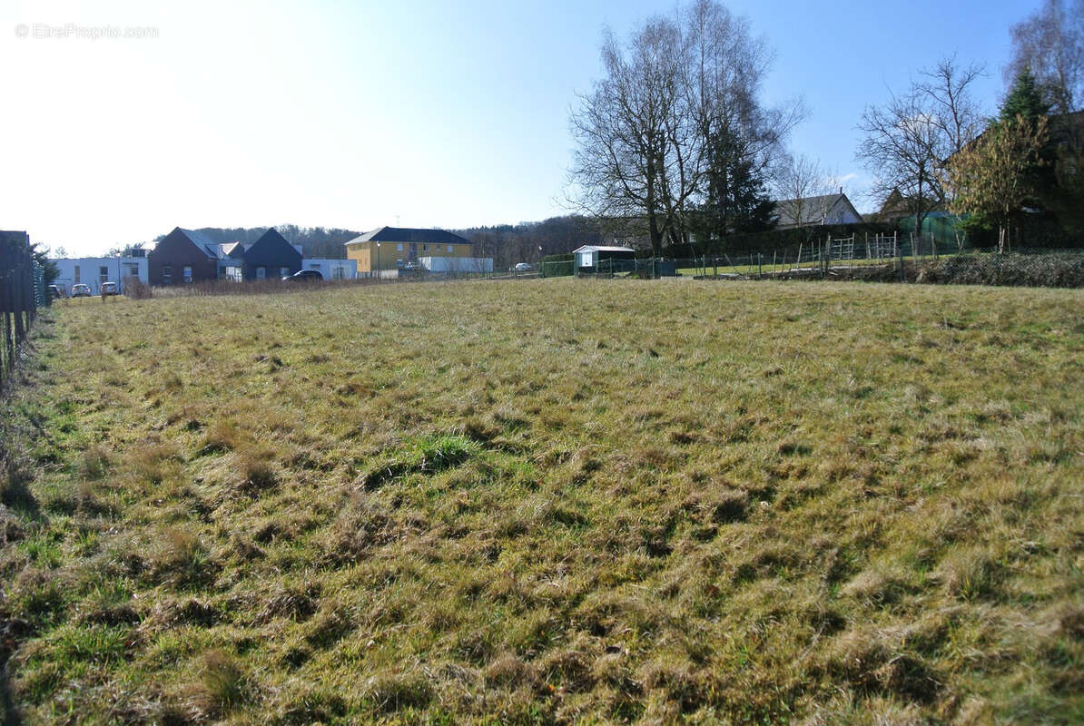 Terrain à WALDIGHOFEN