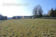 Terrain à WALDIGHOFEN