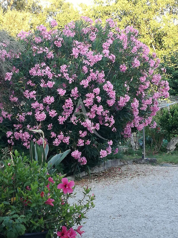Maison à SAINT-JEAN-D&#039;ANGELY