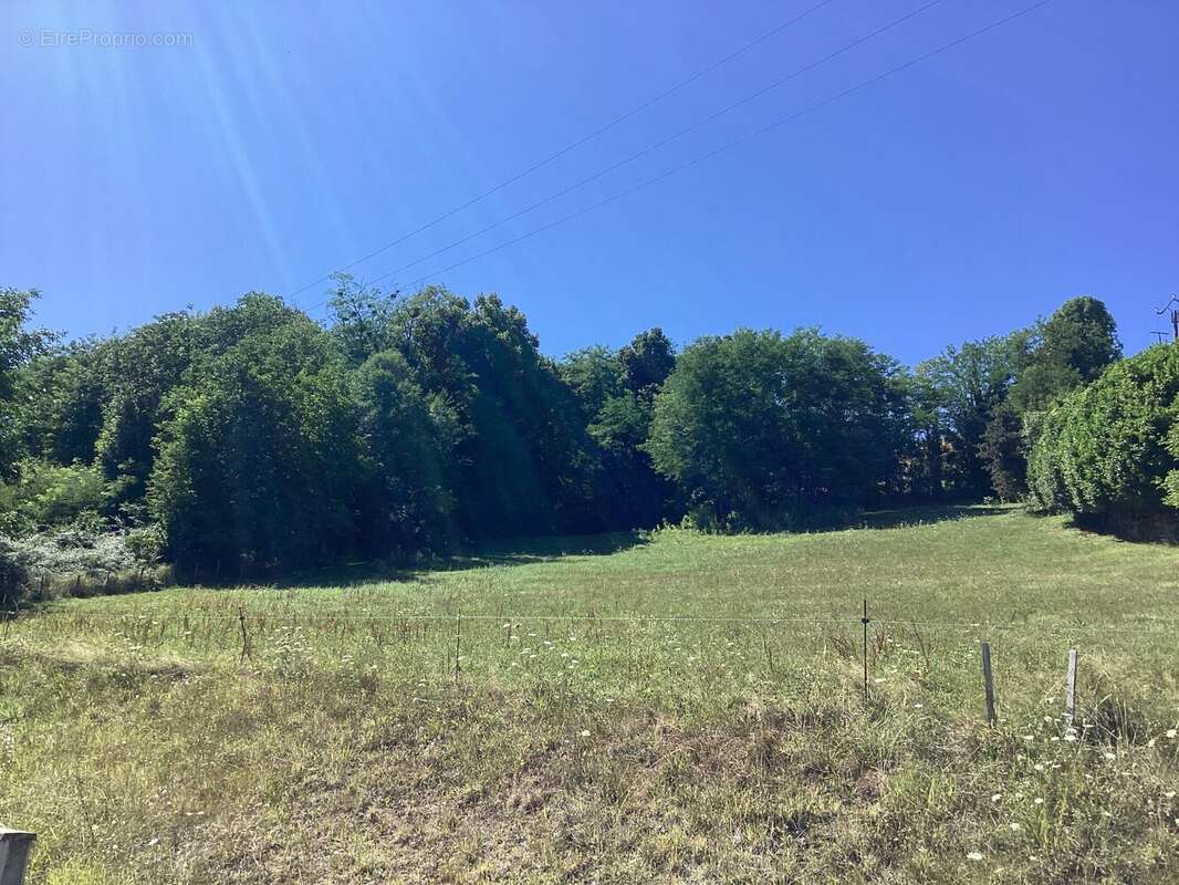 Terrain à COISE-SAINT-JEAN-PIED-GAUTHIER