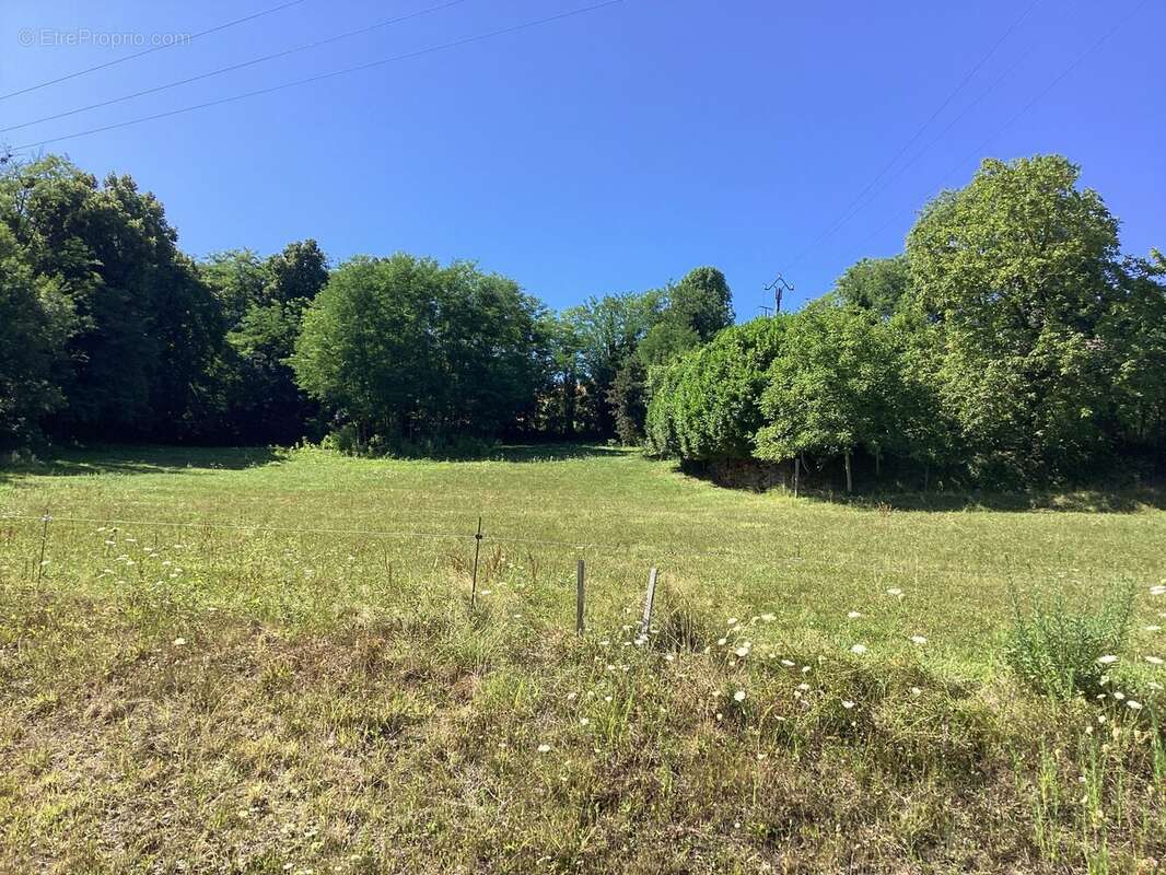 Terrain à COISE-SAINT-JEAN-PIED-GAUTHIER