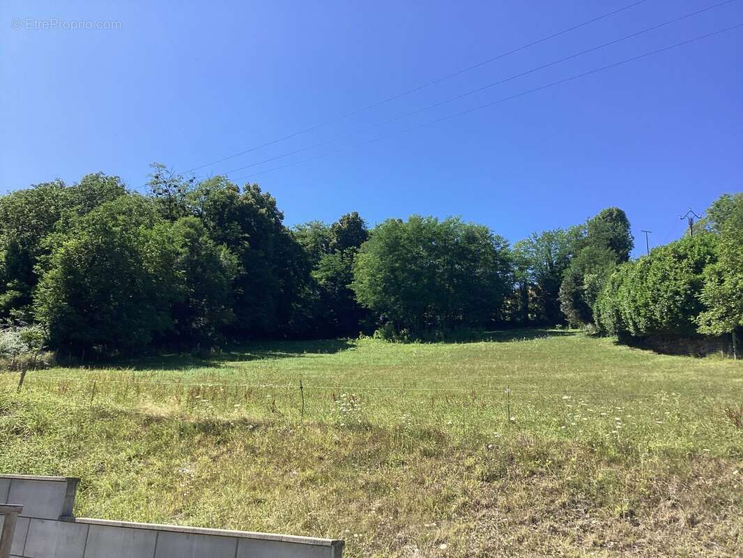 Terrain à COISE-SAINT-JEAN-PIED-GAUTHIER