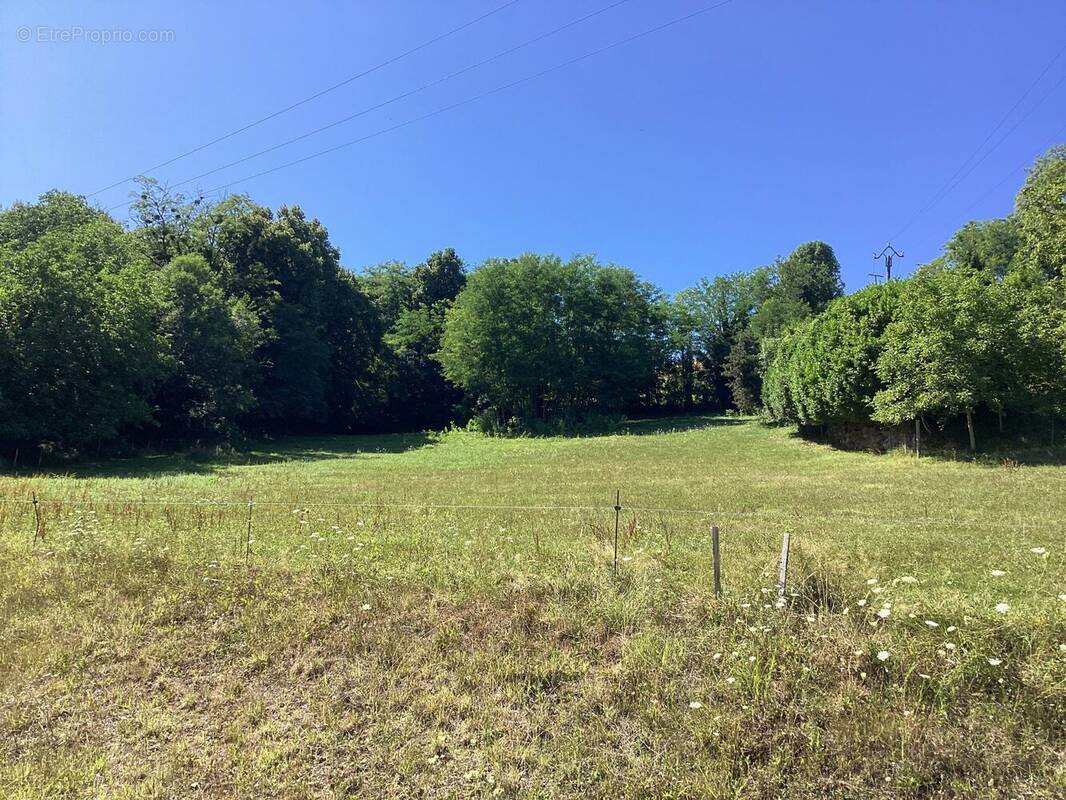 Terrain à COISE-SAINT-JEAN-PIED-GAUTHIER