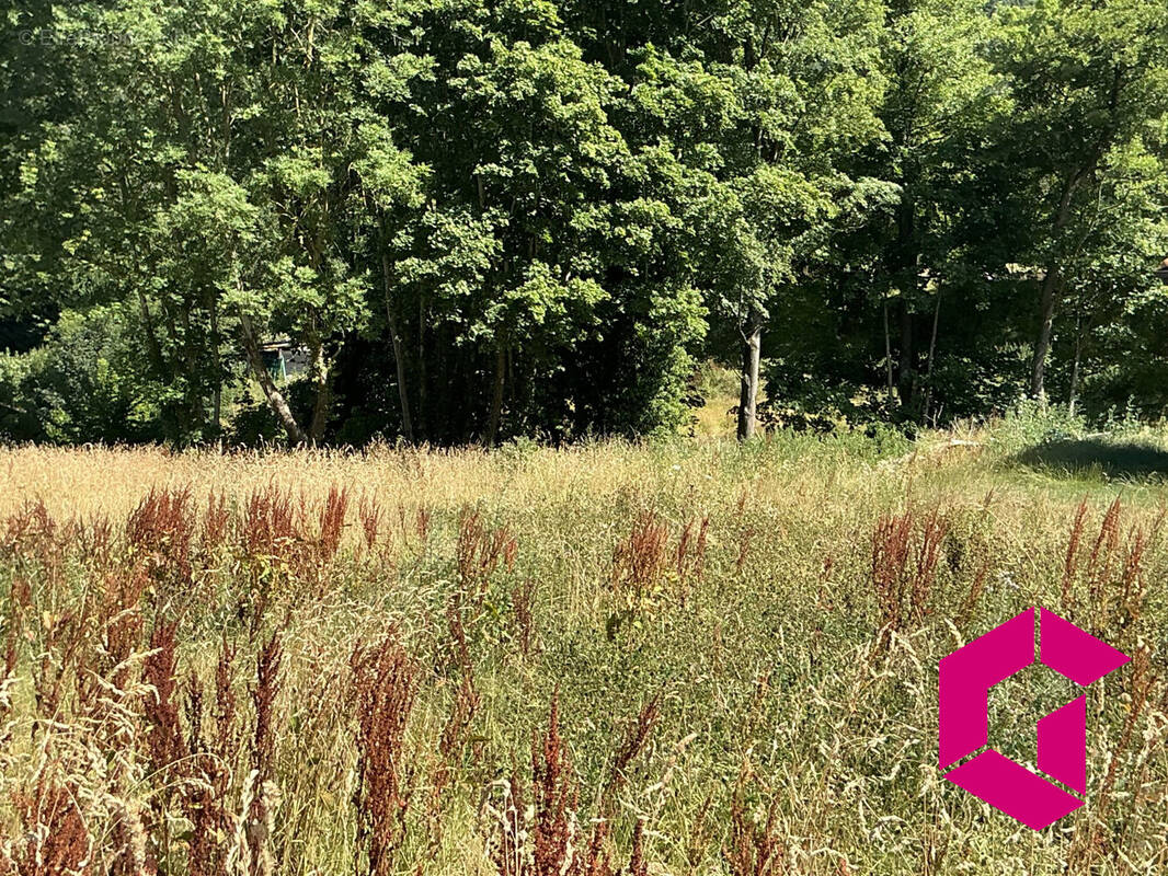 Terrain à BOURG-ARGENTAL