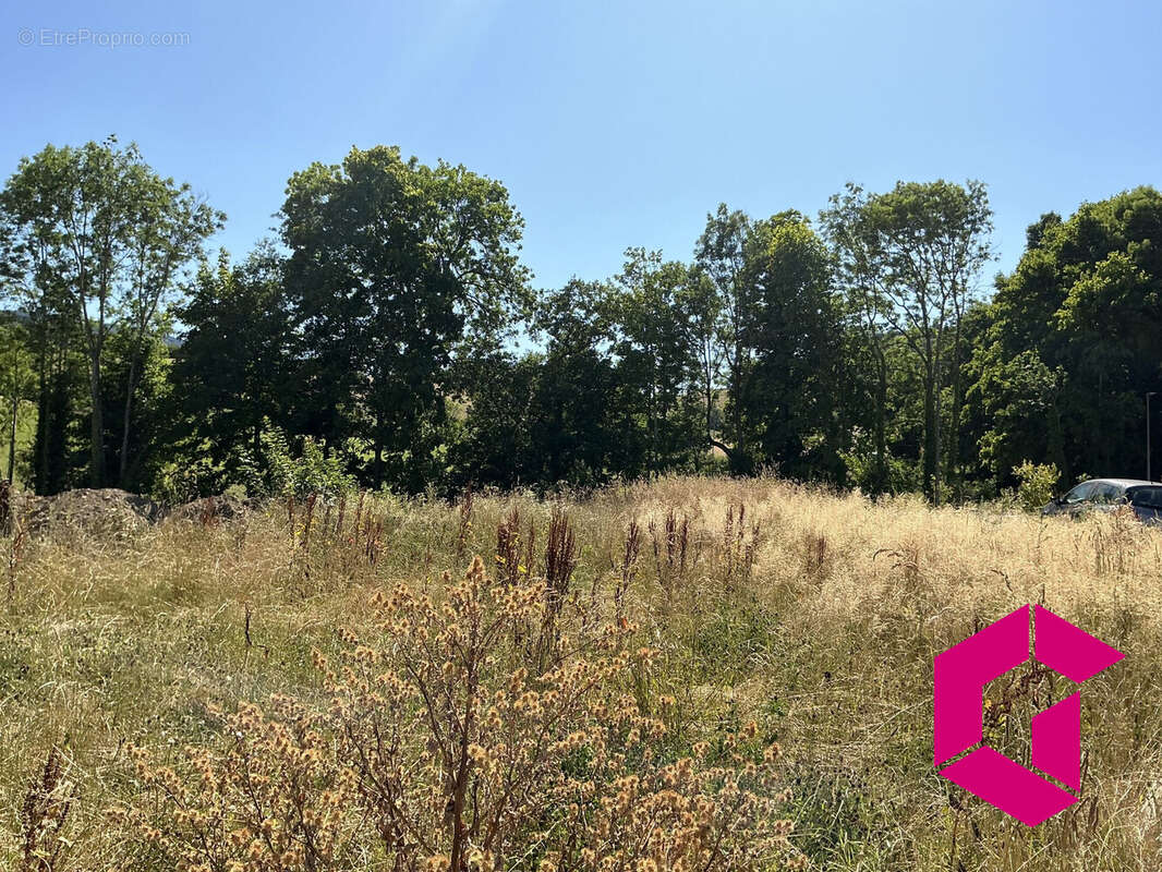 Terrain à BOURG-ARGENTAL