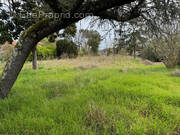 Terrain à GUJAN-MESTRAS