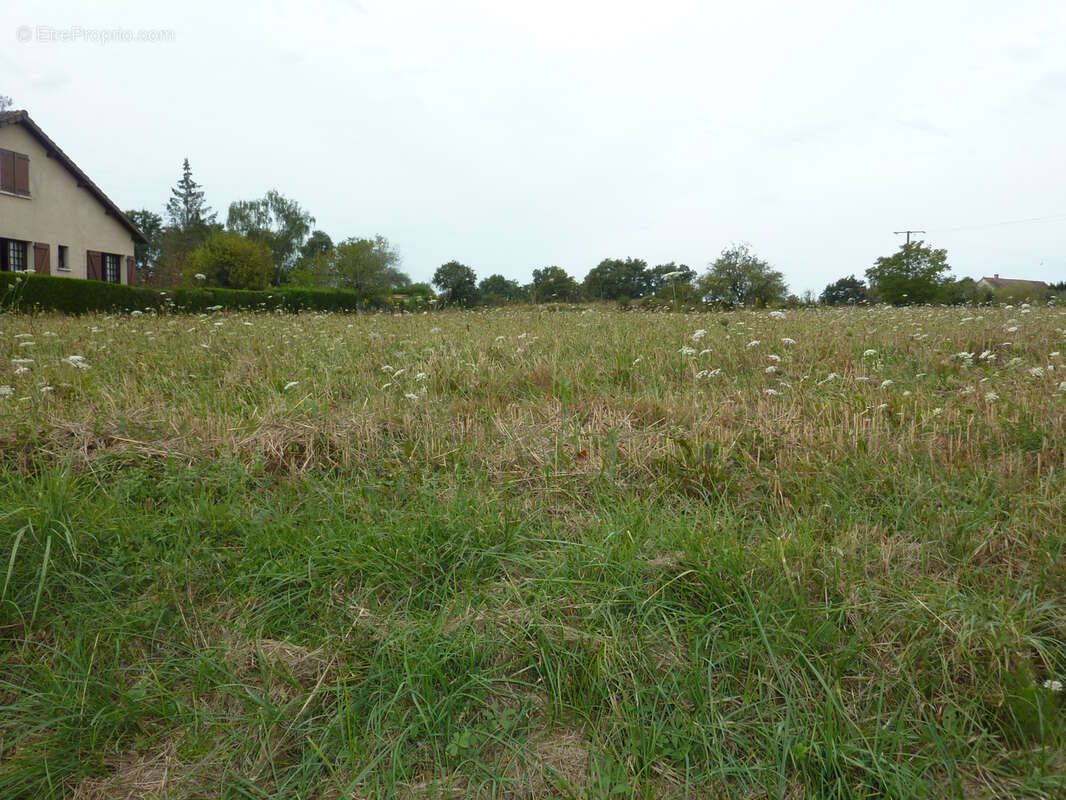 Terrain à LA TRIMOUILLE