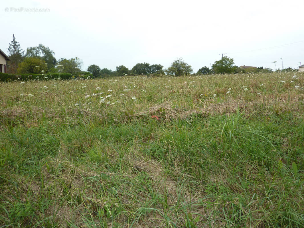 Terrain à LA TRIMOUILLE
