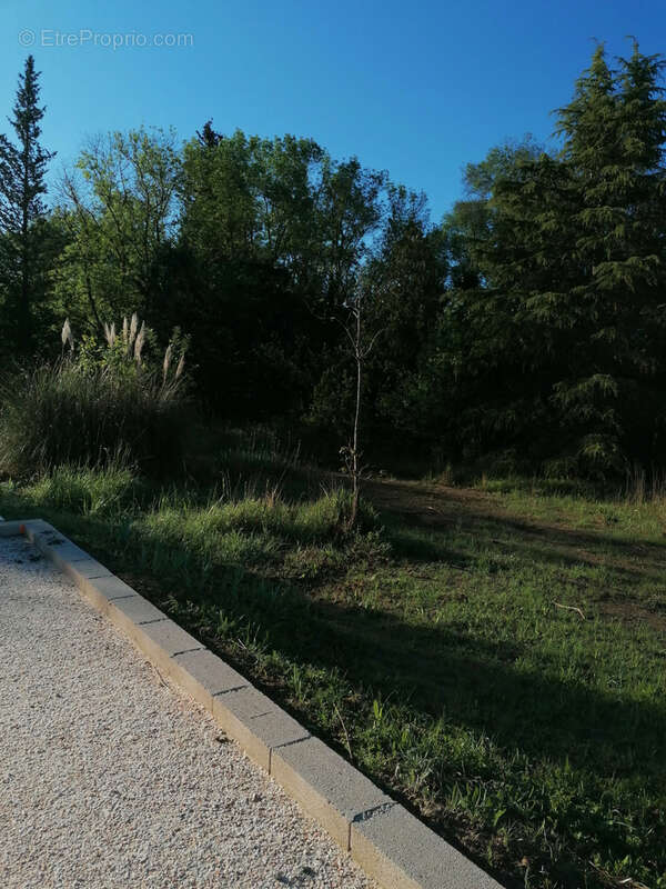 Terrain à PRADES-LE-LEZ