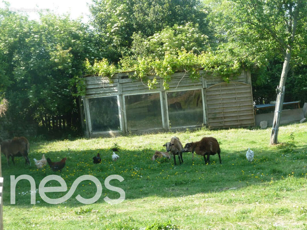 Maison à BRETTEVILLE