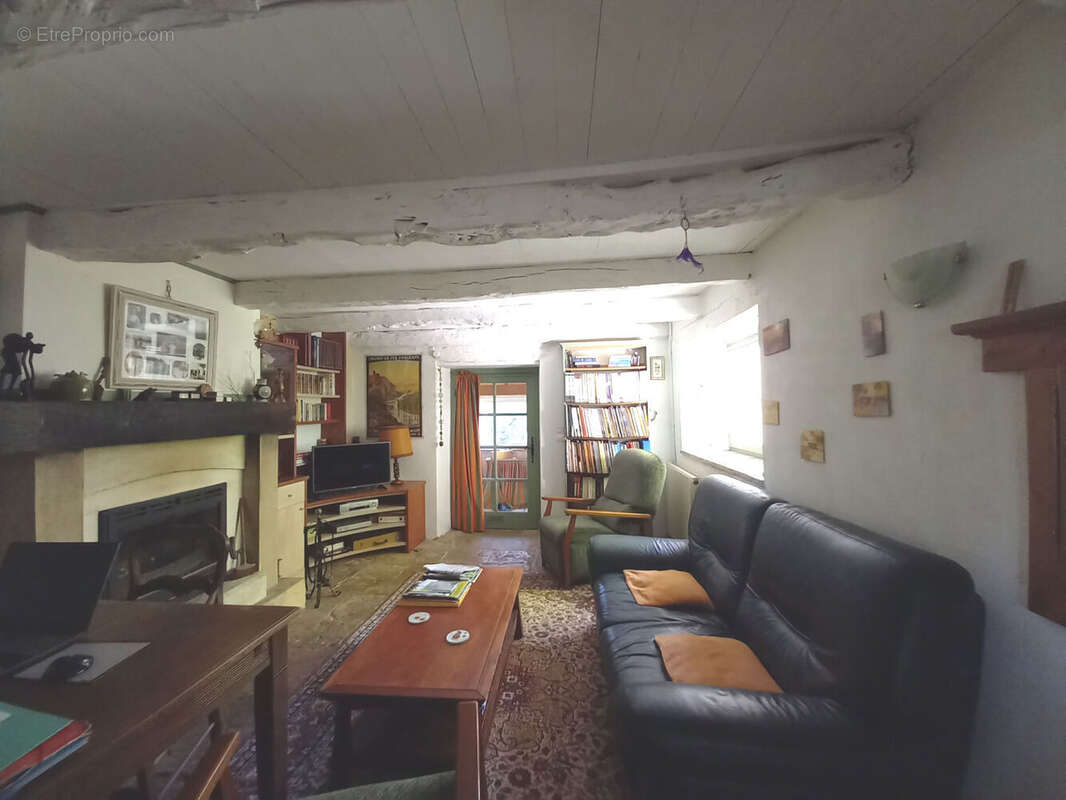 salon- insert - Maison à ARCAMBAL