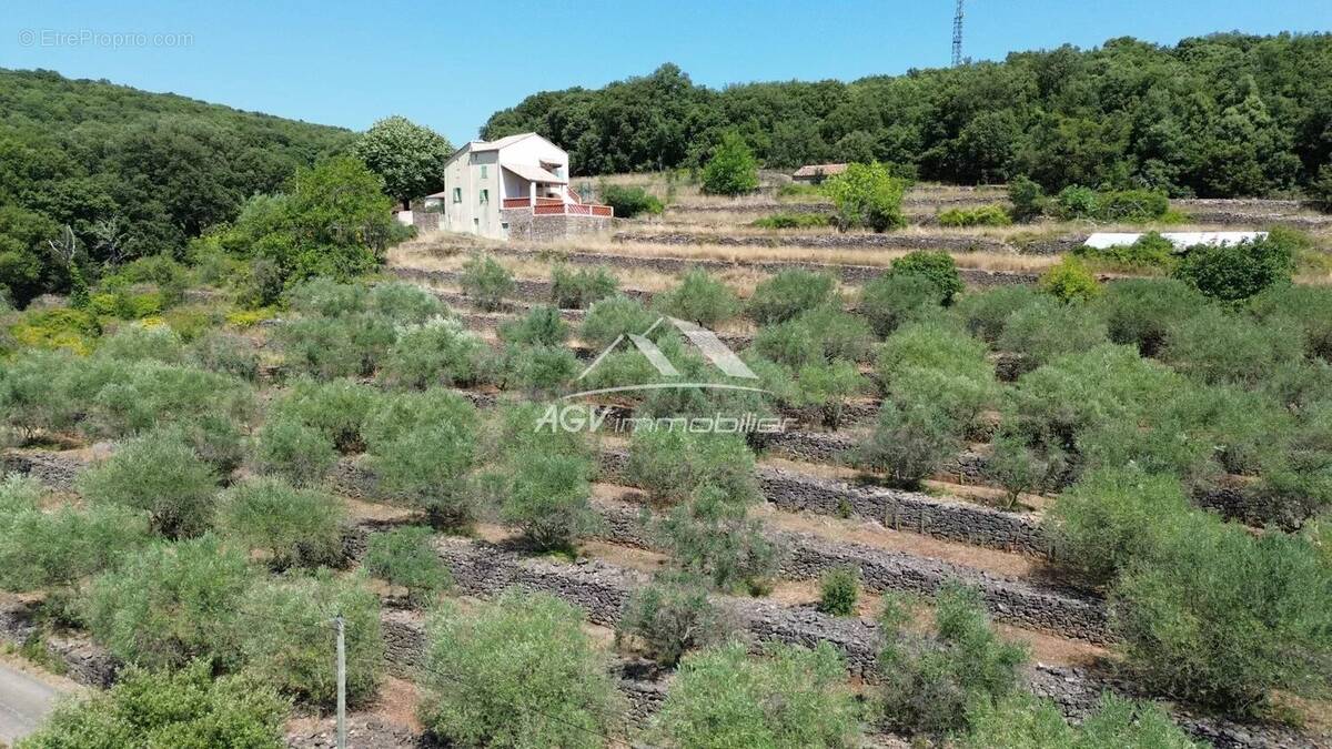 Maison à LES SALLES-DU-GARDON