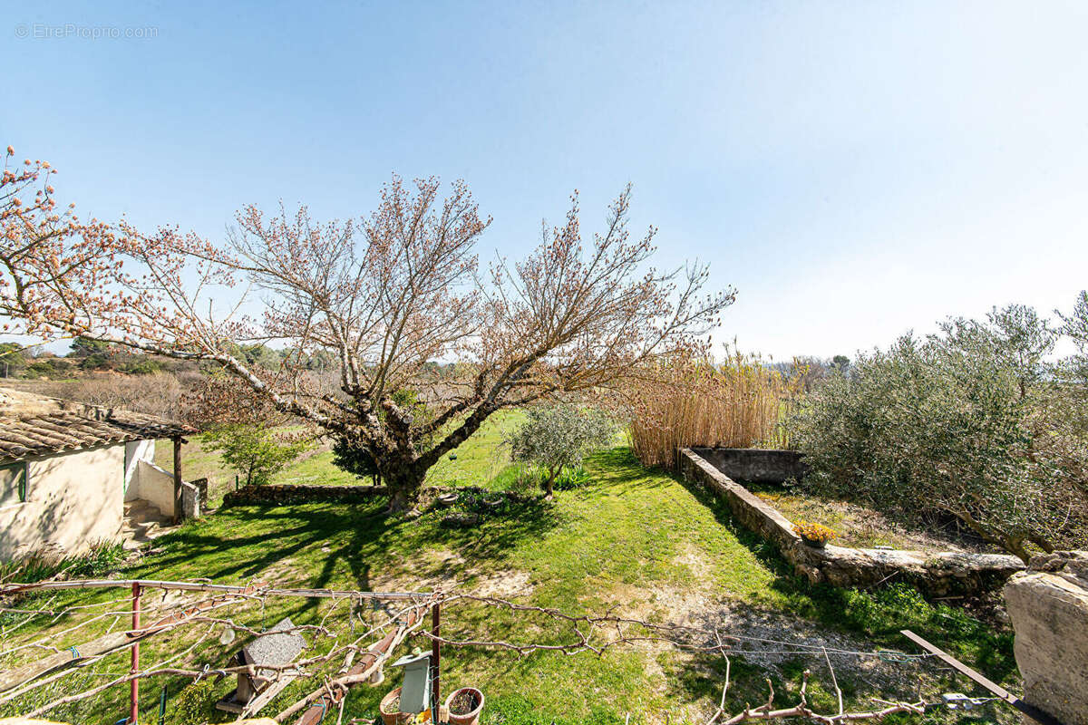 Photo 7 - Maison à CUCURON