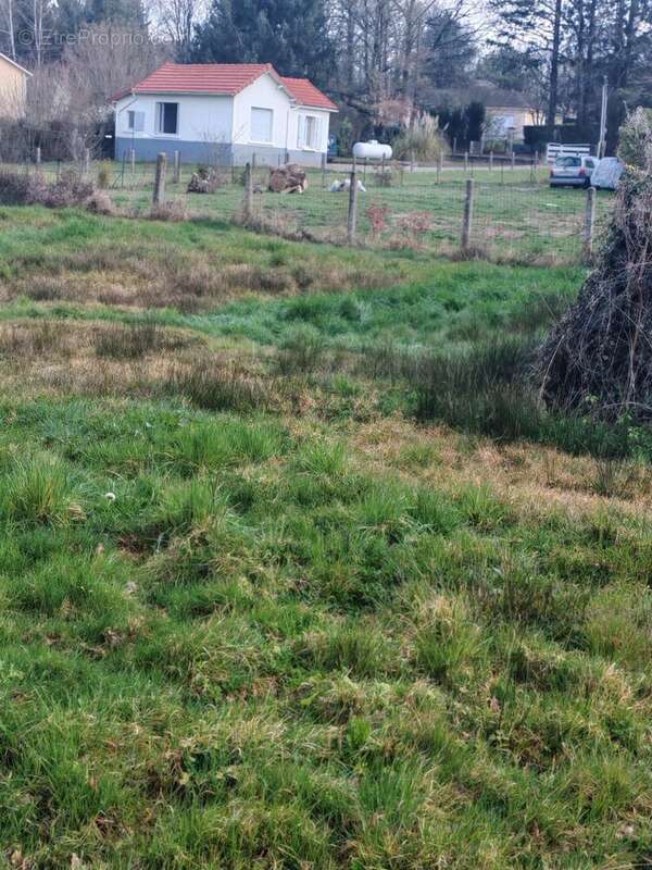 Photo 5 - Terrain à PANAZOL