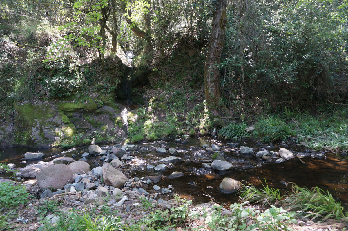 Terrain à LES ADRETS-DE-L&#039;ESTEREL