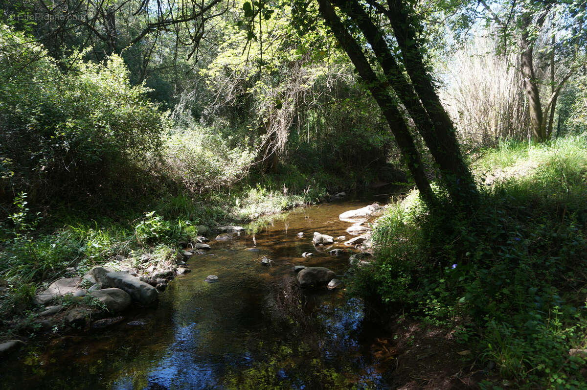 Terrain à LES ADRETS-DE-L&#039;ESTEREL