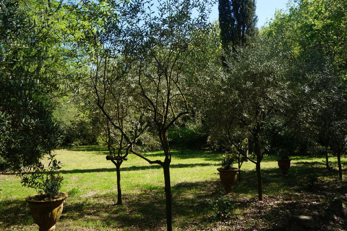 Terrain à LES ADRETS-DE-L&#039;ESTEREL