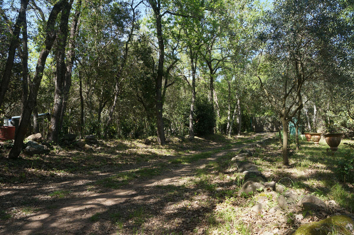 Terrain à LES ADRETS-DE-L&#039;ESTEREL