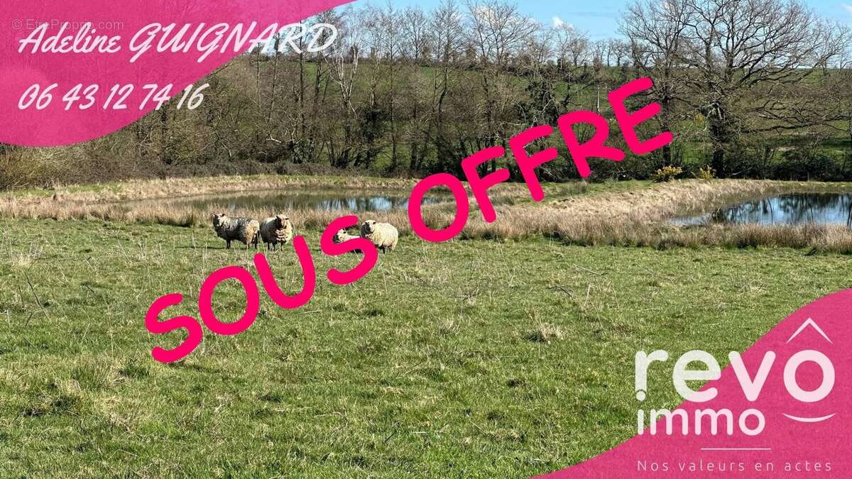 Terrain à LA TESSOUALLE