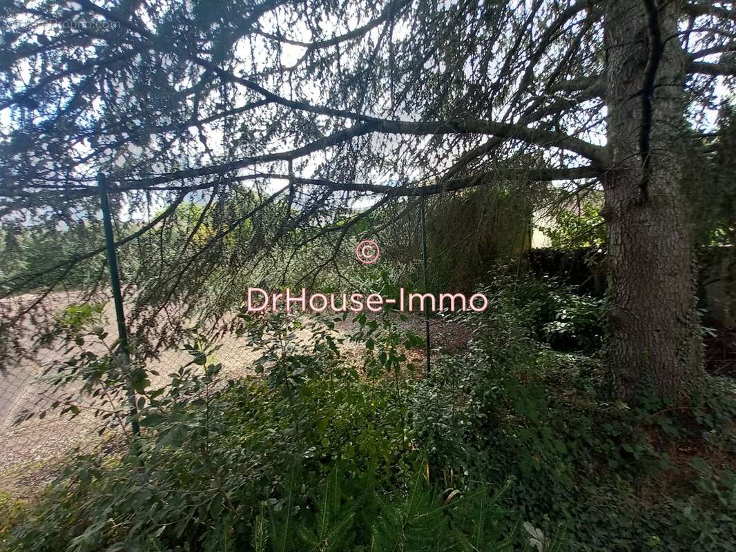 Terrain à VERRIERES-LE-BUISSON