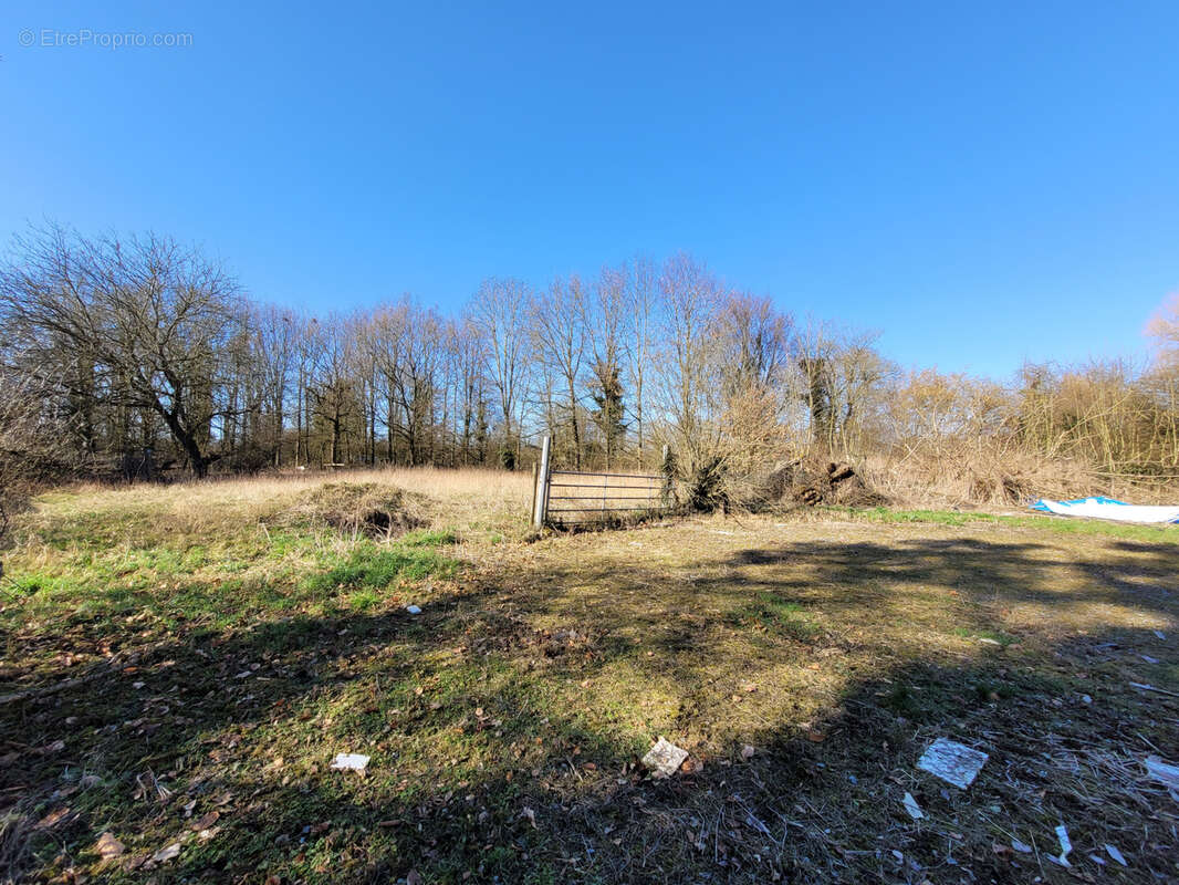 Maison à AVESNELLES