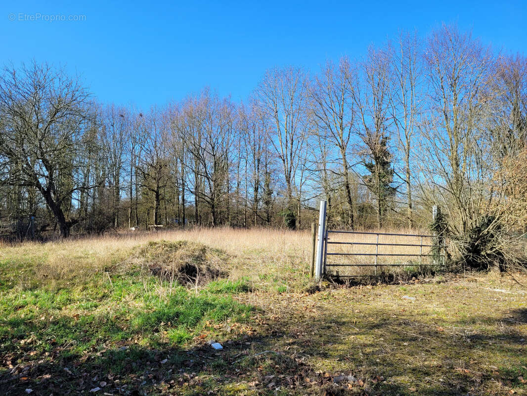 Maison à AVESNELLES