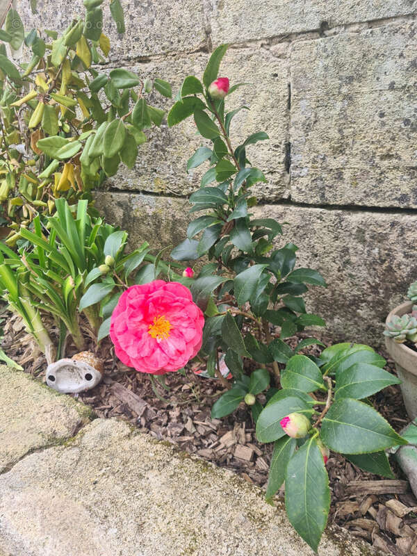 Maison à PUYNORMAND