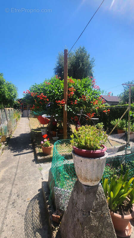 Photo 4 - Maison à SAINT-PRIEST-TAURION