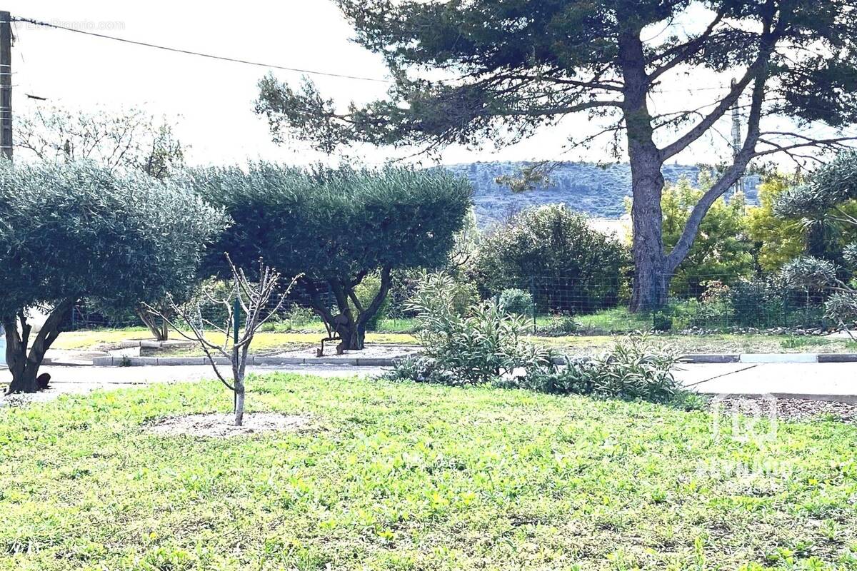 Terrain à CLERMONT-L&#039;HERAULT