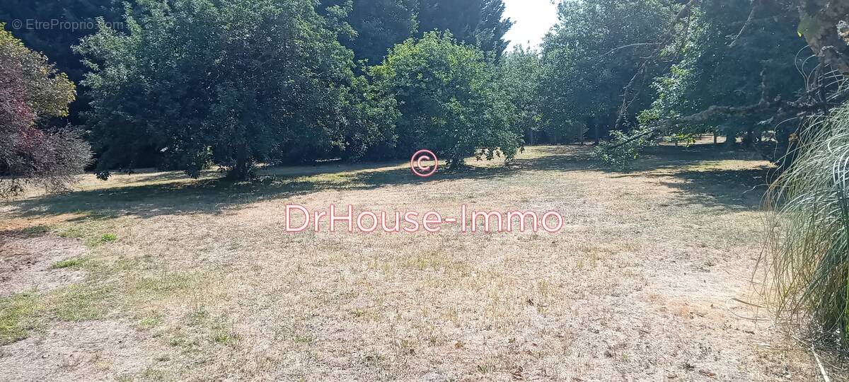 Terrain à MAZIERES-DE-TOURAINE