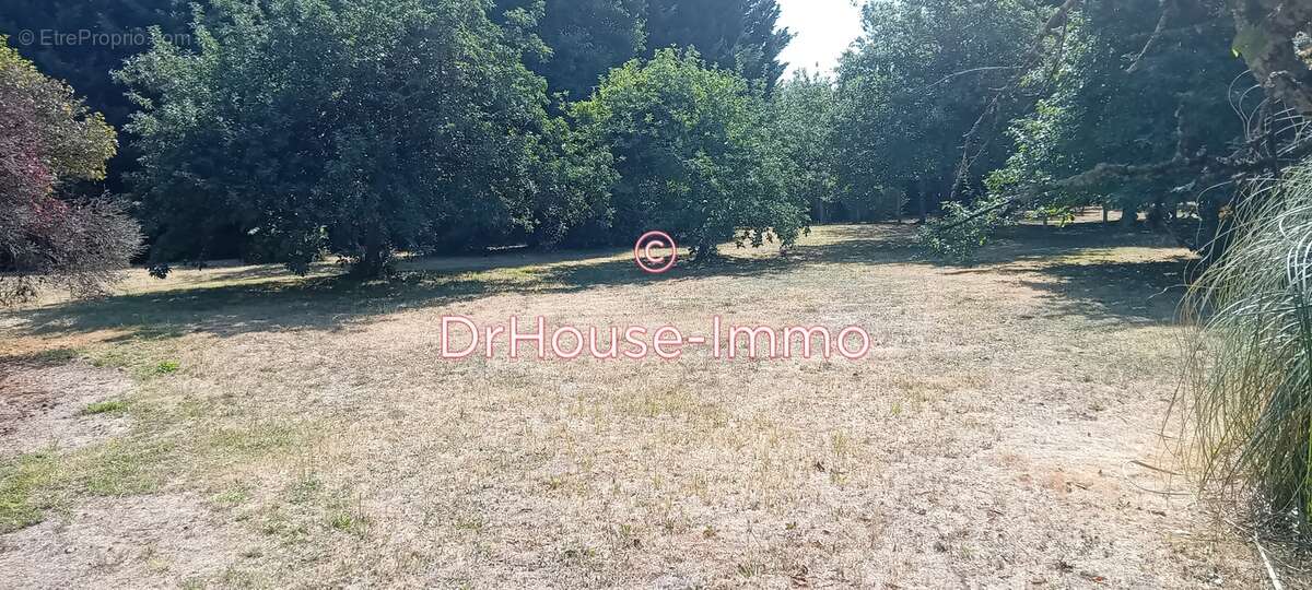 Terrain à MAZIERES-DE-TOURAINE
