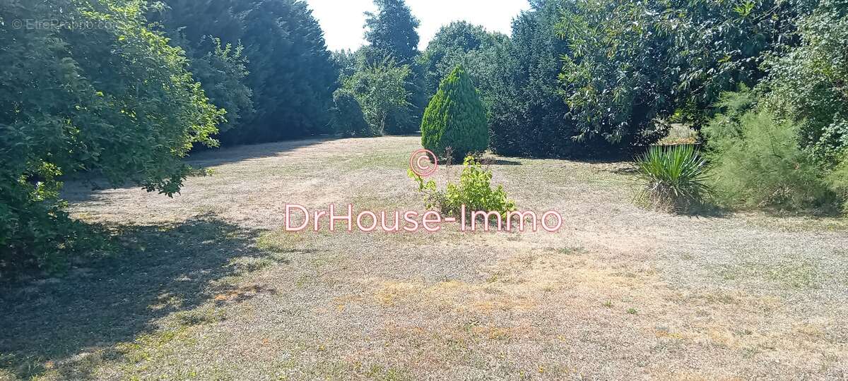 Terrain à MAZIERES-DE-TOURAINE