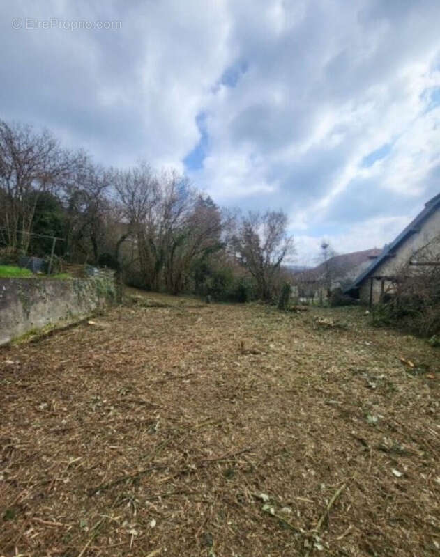 Terrain à SAINT-MAURICE-COLOMBIER