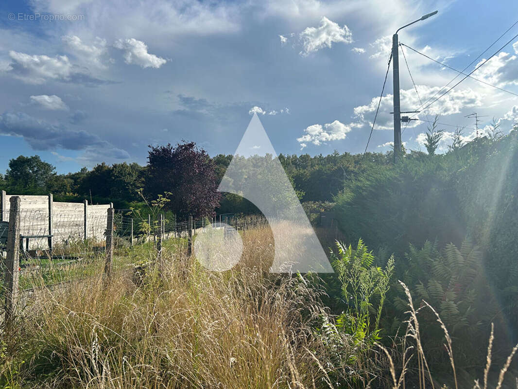 Maison à VIEUX-CONDE